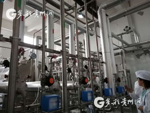 多彩貴州網(wǎng) 貴州健康醫(yī)藥產(chǎn)業(yè)產(chǎn)值今年目標(biāo)1000億