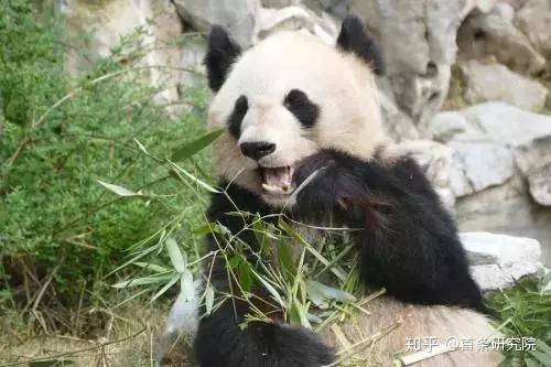 瑞康醫藥的快與慢 商譽高企 營利雙降 何破并購藩籬